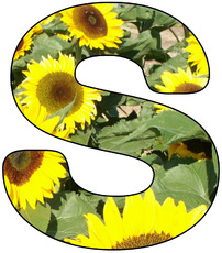 Deko-Buchstaben-Blumen_S.jpg